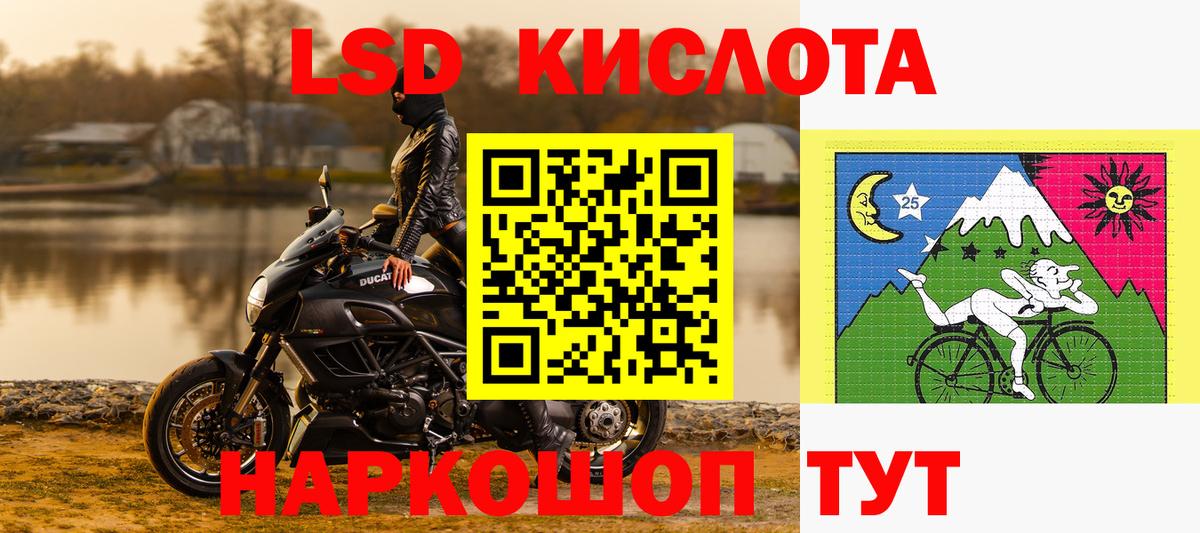 Псилоцибиновые грибы Березники