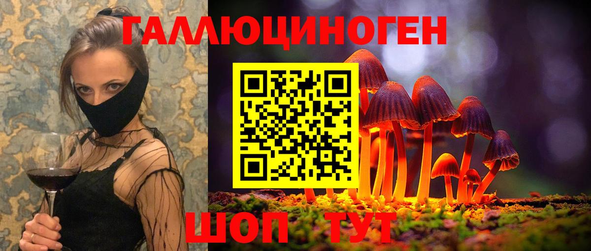 Галлюциногенные грибы Psilocybe Березники