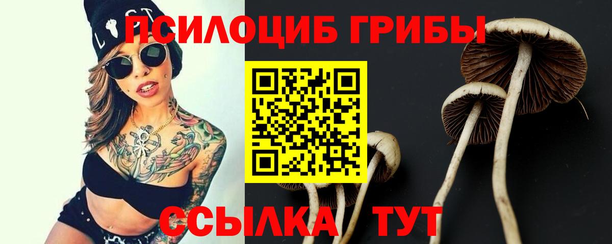 Березники  Галлюциногенные грибы GOLDEN TEACHER  Вход с VPN 